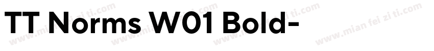 TT Norms W01 Bold字体转换